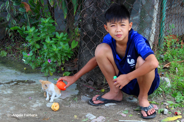boy with kitten on rice cracker street