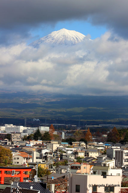 mt fuji from museum viewing platform