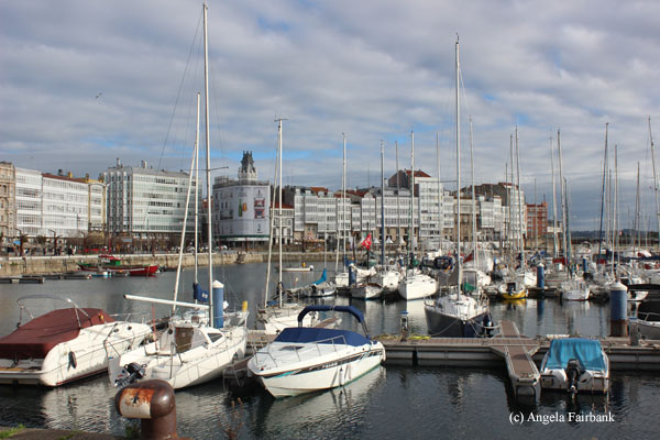 boats in harbour