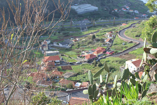 view of Camara de Lobo