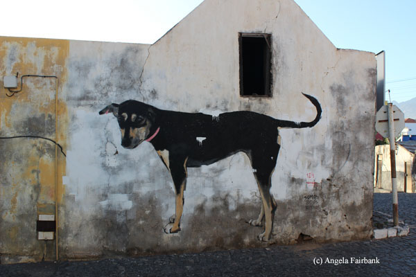 dog on house