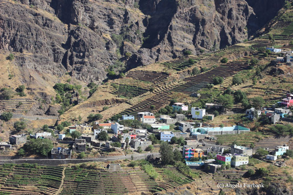 terraced hills