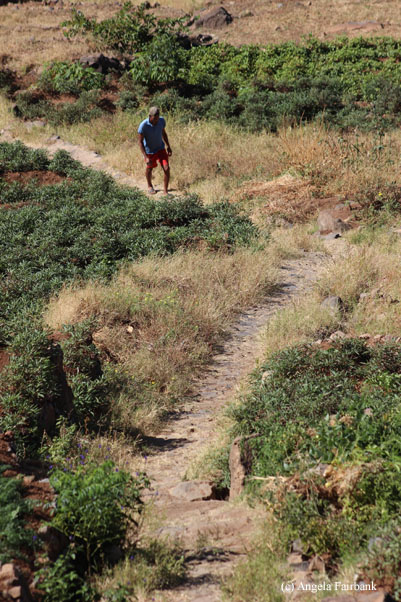 man walking up path