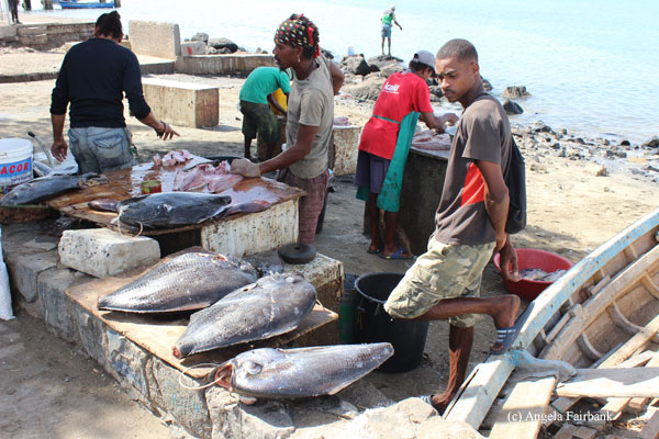 fish market