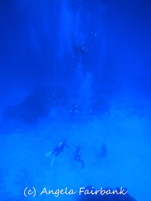 Cozumel, copyright Angela Fairbank
