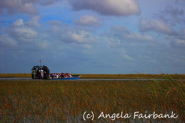 Florida, copyright Angela Fairbank