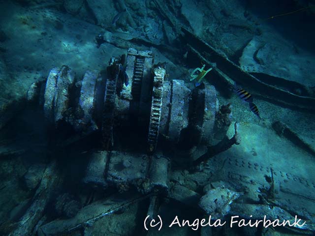 Grand Cayman, copyright Angela Fairbank