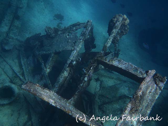 Grand Cayman, copyright Angela Fairbank