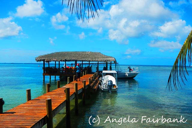 Roatan, copyright Angela Fairbank