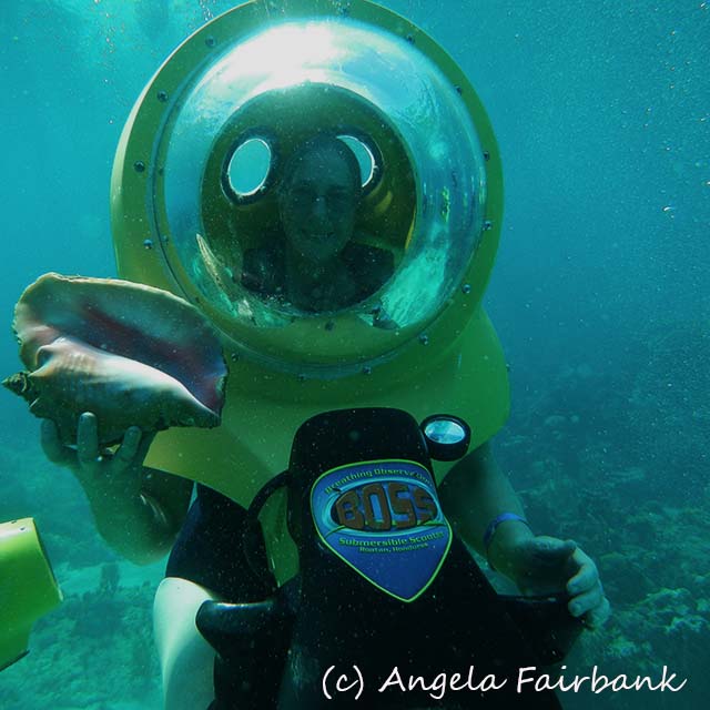 Roatan, copyright Angela Fairbank
