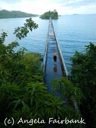 bridge in rain