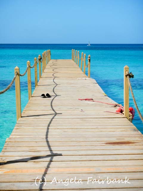 catamaran wharf