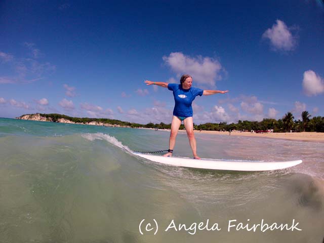 author surfing