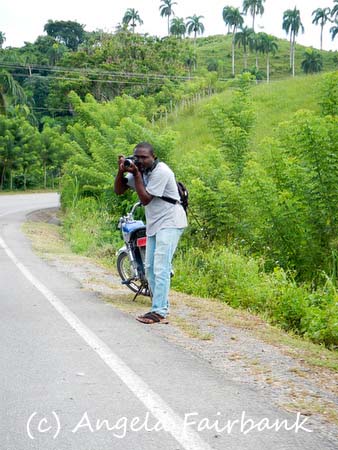 paparazzo