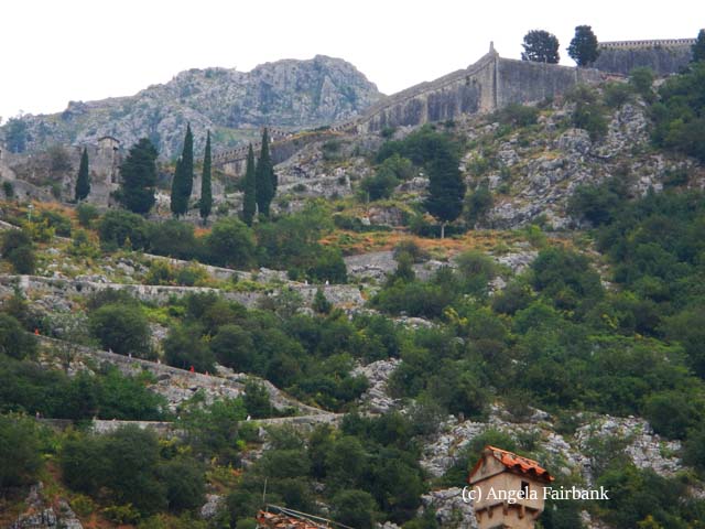 montenegro 5