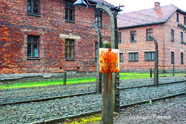 poland 20