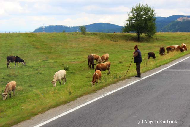 romania 9