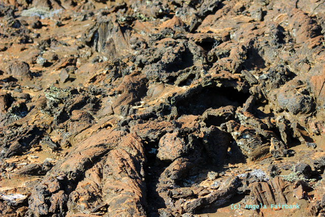 lava