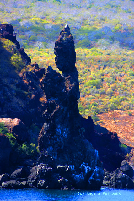 monk rock