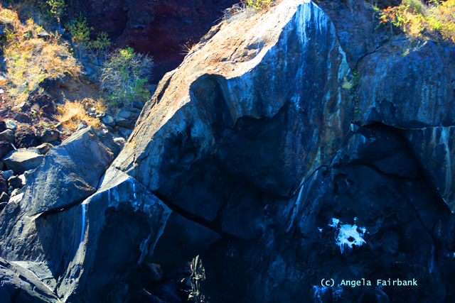 elephant rock