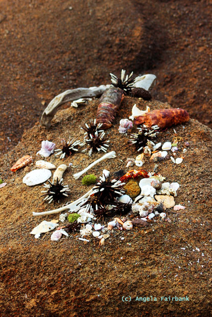 paraphernalia from beach