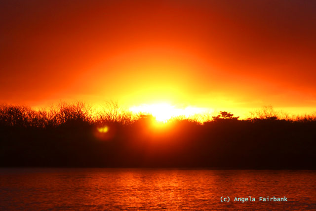 sunrise