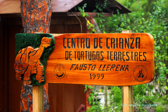 tortoise research centre on santa cruz