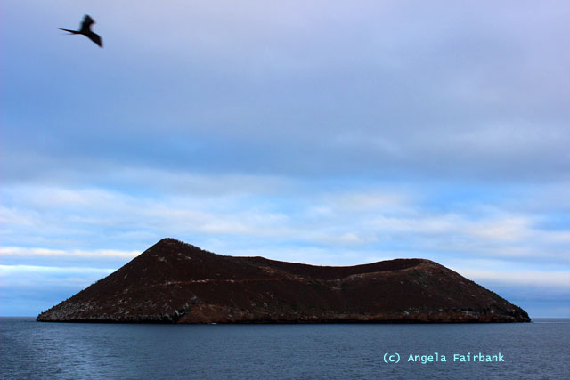 daphne island