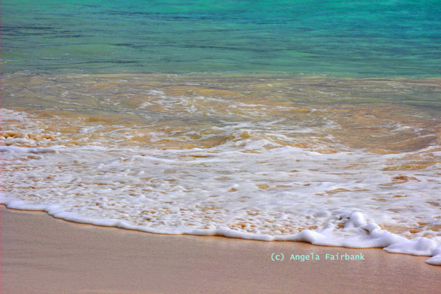 sea on the beach