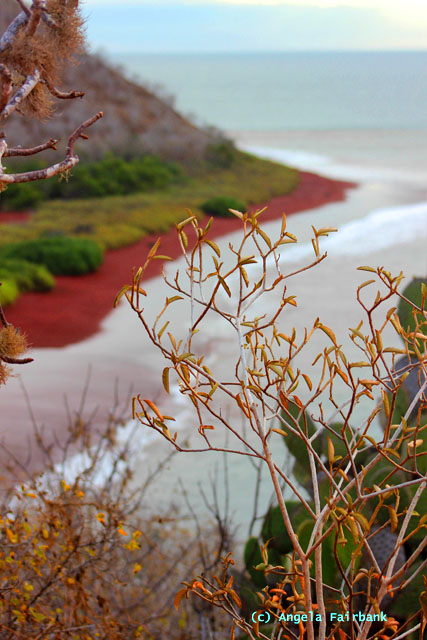 beach from above