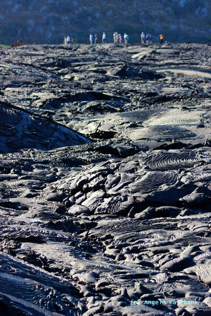lava field with people