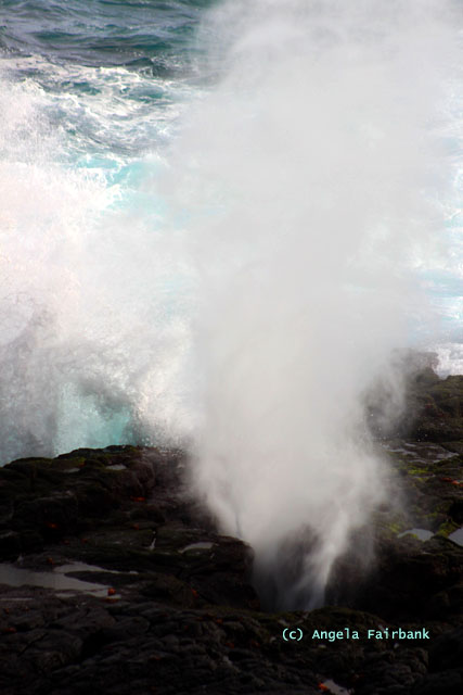 blow hole spray