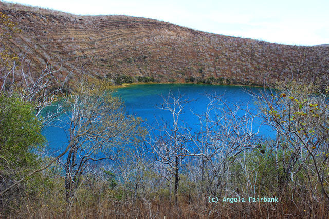 darwin lake