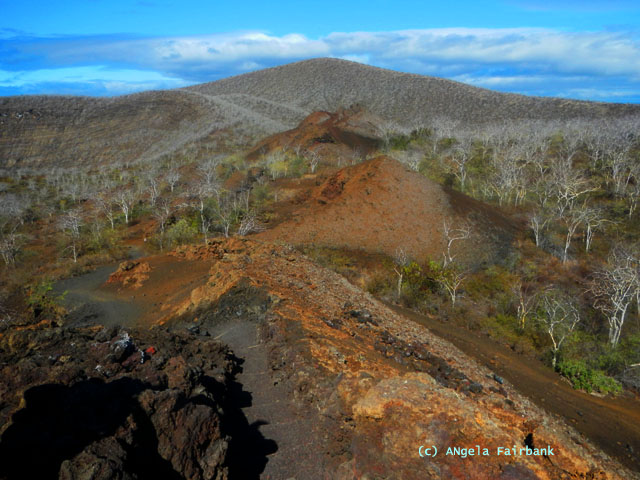 view from top of promontory