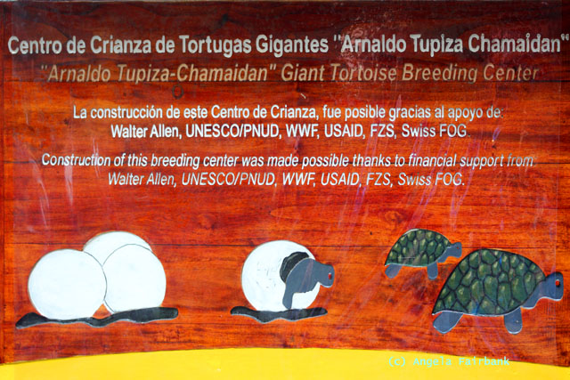 tortoise breeding centre