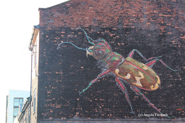 beetle graffiti