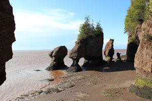 Hopewell Rocks lower tide