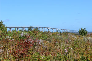 Centennial bridge 1