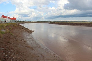 muddy river