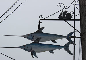 fish signs