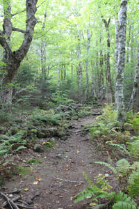trail at Sugar Moon Farm