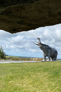 mastadon