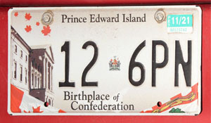licence plate