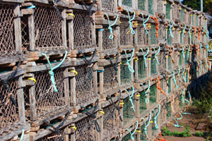 lobster traps