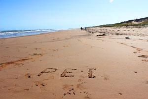 Brackley Beach 1