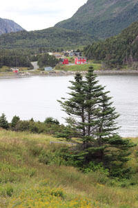 Bottle Cove