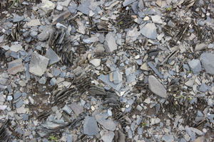 more stones
