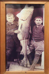 photo of boys with cod