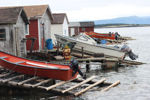Frenchman's Cove