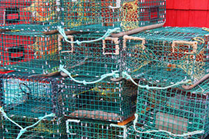 lobster traps